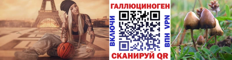 Купить где  Аткарск  Псилоцибиновые грибы Psilocybine cubensis 